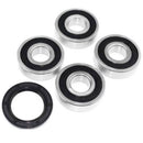 1985-1987 Honda ATC250EX Big Red Rear Wheel Bearing and Seal Kit
